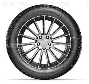 Doublestar DW01 185/65 R15 88T