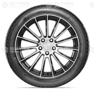 Doublestar DW02 205/55 R16 91T