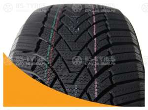 FronWay Icemaster I 205/45 R17 88V