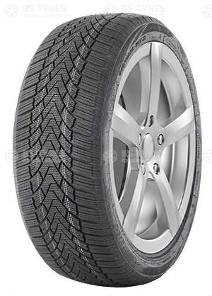 FronWay Icemaster I 205/45 R17 88V