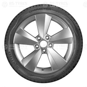 Ikon (Nokian Tyres) Character Snow 2 (Nordman RS2) 205/55 R16 94R