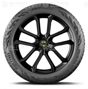 Ikon (Nokian Tyres) Autograph Snow 5 SUV 245/60 R18 109R