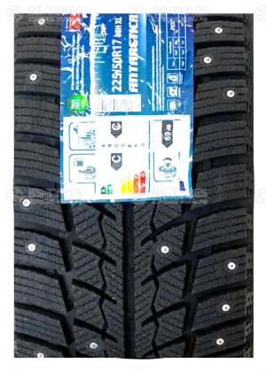 Pace Antarctica Ice 205/55 R16 91T