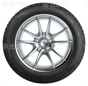 Tigar Winter 245/40 R18 97V